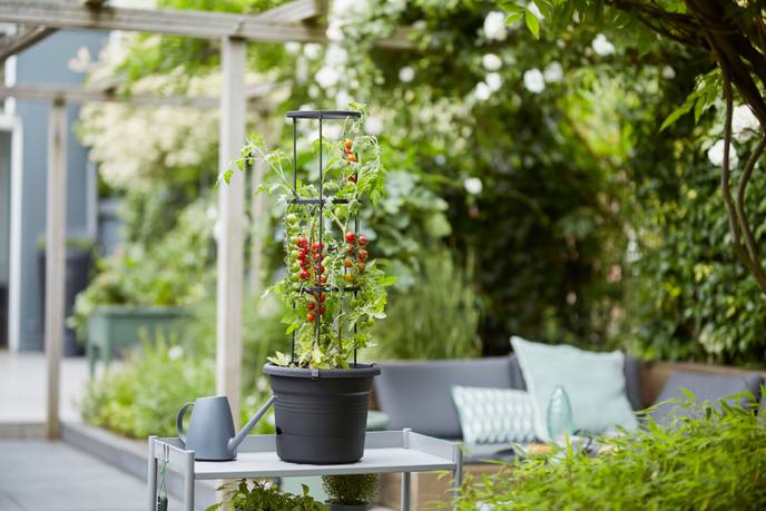 green basics pot à tomate 33 cm living noir